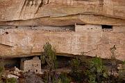 Mesa Verde Windows 1229